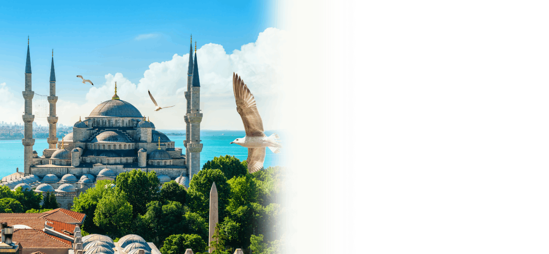Ưu điểm chương trình - MCI Global tư vấn định cư